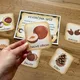 Podzimní stezka skřítka Podzimníčka a jeho kamarádů 4
