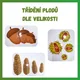 Stromy (listy a plody) 5