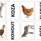 Čtení s porozuměním - zvířata - kartičky 2