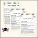 HALLOWEEN - FUN WITH SPIDERS 8