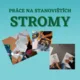 Práce na stanovištích - Stromy 5