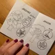 Jehličnaté a listnaté stromy - Minibook 7