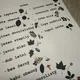 Bingo - listy a plody stromů 3
