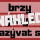 VYJMENOVANÁ SLOVA - přehled na zeď 3