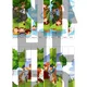 Ordinal numbers - first, second, ... 2