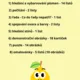 Ovoce  2