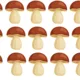 Oříškový podzim 5