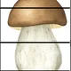 Barevný podzim 5