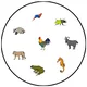 ANIMALS, ZVÍŘATA / POSTŘEHOVKA 3