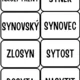 Slova příbuzná 6