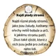 STEZKA STROMY 4