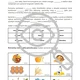 Chemie a výživa Pracovní list CHEMIE Řešení 2