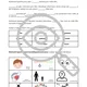 Nukleové kyseliny Pracovní list CHEMIE Řešení 3