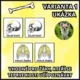 Kosterní soustava - pexeso 2