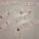 Domino - KOSTI LIDSKÉHO TĚLA 3