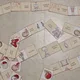 Domino - KOSTI LIDSKÉHO TĚLA 2