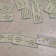 Domino - PODNEBNÉ PÁSY (podnebí, rostliny, živočichové, mapa) - barevná i čb verze 2