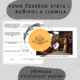 Vznik českého státu I. - Bořivoj a Ludmila - Příprava vyučovací hodiny 2