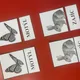 Na louce - slova 3
