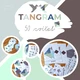 TANGRAM – velký set 6