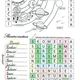 Sluneční soustava - lapbook, omalovánka, čtyřsměrka 1/3 3