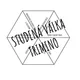 Studená válka - trimino 2