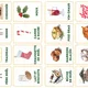 Noël - cartes illustrées | vánoční kartičky ve francouzštině 4