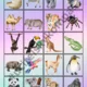 Animals - flash cards, memory cards 3
