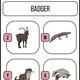 ENG - ANIMALS (BĚHACÍ HRA, KVÍZ, ÚKOLY) 3
