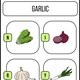 ENG - FRUITS AND VEGETABLES (BĚHACÍ HRA, KVÍZ, ÚKOLY) 3