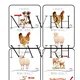 DOMESTIC ANIMALS AND THEIR YOUNG - flashcards, I have. Who has? - 2 varianty hry 3