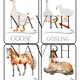 DOMESTIC ANIMALS AND THEIR YOUNG - flashcards, I have. Who has? - 2 varianty hry 2