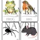 FOREST ANIMALS - flashcards, I have. Who has? - 2 varianty hry 2