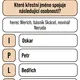 JAK SE JMENUJEME - PROJEKTOVÝ DEN (nomen omen, význam jmen, původ jmen) 3