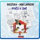  MINI lapbook - Ptáčci v zimě  4
