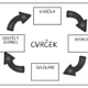 CVRČEK - vývojový cyklus 4