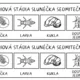 SLUNÉČKO SEDMITEČNÉ - vývojový cyklus 5