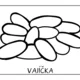 CVRČEK - vývojový cyklus 5