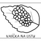 SLUNÉČKO SEDMITEČNÉ - vývojový cyklus 3