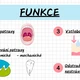 Trávicí soustava - výuková prezentace 5