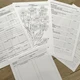 Pedagogická diagnostika dítěte v MŠ 2