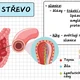 Trávicí soustava - výuková prezentace 4