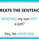 HAVE GOT HAS GOT - QUESTIONS 2