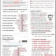 Skloňování přejatých podst. jmen obecných - SADA 1 (s řešením) 7
