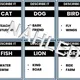 Describe It - Animals (A1) 2