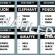 Describe It - Animals (A2) 2