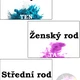 PODSTATNÁ JMÉNA (pád, číslo, rod, vzor) 2