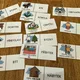 Vyjmenovaná slova B-Z, obrázkové domino  4