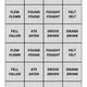 Irregular verbs - flashcards 2