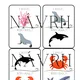 SEA ANIMALS - flashcards, I have. Who has? - 2 varianty hry 3